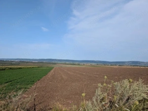 Sărata- lângă Mun. Bacău- 4000 mp- oportunitate investiție 