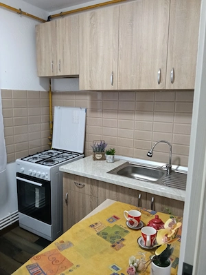 Inchiriere Apartament 2 CAM - imagine 7