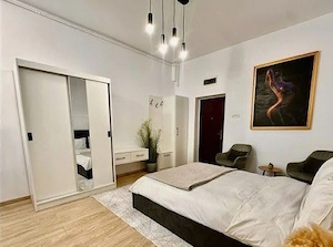 Inchiriez garsoniera langa Afi cu centrala dispo imediat PET friendly - imagine 4