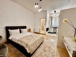Inchiriez garsoniera langa Afi cu centrala dispo imediat PET friendly