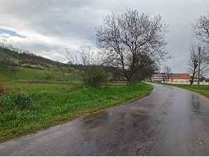 AV690 Teren intravilan, 5272mp, General Berthelot, la asfalt - imagine 4