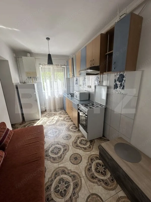 Apartament cu 2 camere, decomandat, 53 mp, zona Careiului  - imagine 4