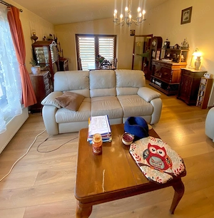 Vand casa 5 camere in Cruceni 15 min de Centrul Aradului ID:RH-44925-property - imagine 3