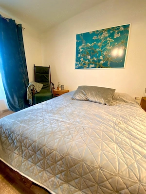 Vand casa 5 camere in Cruceni 15 min de Centrul Aradului ID:RH-44925-property - imagine 9