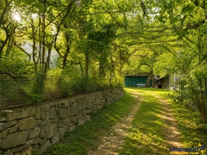 Casa traditionala cu autenticitate rurala, in pitoreasca Telega, Prahova - imagine 2