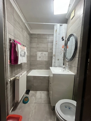 Apartament 2 camere Parcul Tei - imagine 9