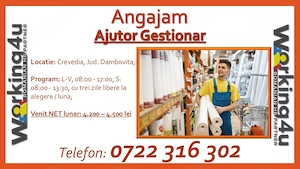 Ajutor Gestionar Depozit Produse Bricolaj