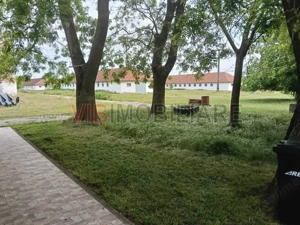 Ferma complet utilată – 30 ha teren comasat cu 11.500mp grajduri renovate Timiș – Comuna Biled