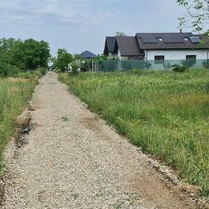 Teren de Vanzare Dascălu