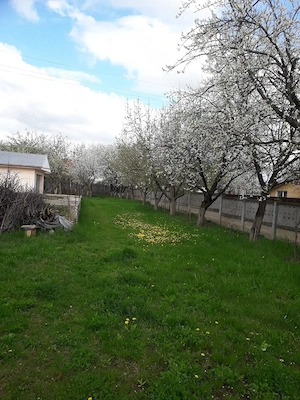 Vând grădină în Tg.Frumos - imagine 2