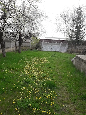 Vând grădină în Tg.Frumos - imagine 6