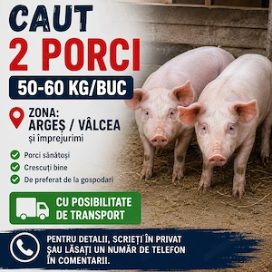 Caut 2 porci 