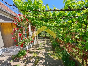 Casa la sol de vanzare in Vladimirescu - imagine 2
