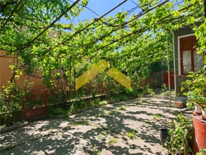 Casa la sol de vanzare in Vladimirescu - imagine 3