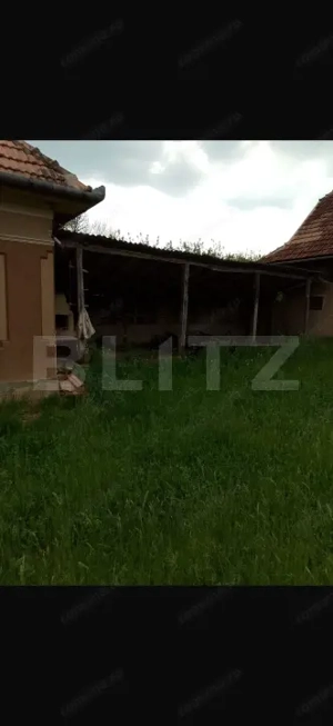 Casă cu 3 camere și un teren de 3000 mp - imagine 6