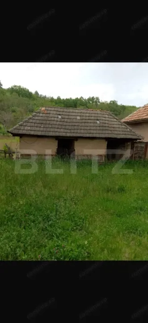 Casă cu 3 camere și un teren de 3000 mp - imagine 7
