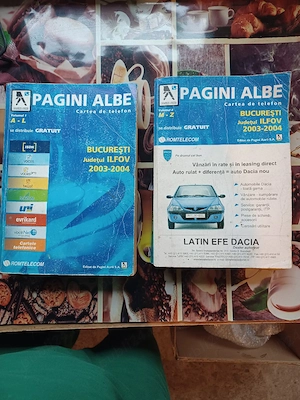 Pagini Albe București si Jud. Ilfov, 2003-2004