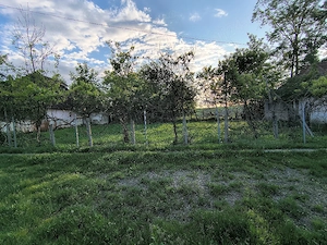 Casă de vânzare in Căpușul de câmpie, jud. Mureș  - imagine 4