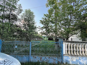 Casă de vânzare in Căpușul de câmpie, jud. Mureș  - imagine 9