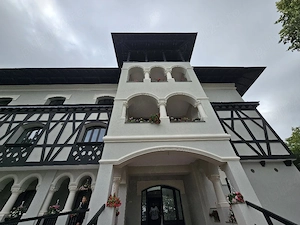 Profile decorative, ancadramente, cornise, coltare