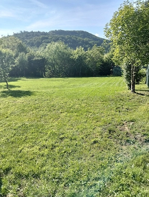vând teren intravilan in Tăuții Magherauși  - imagine 3