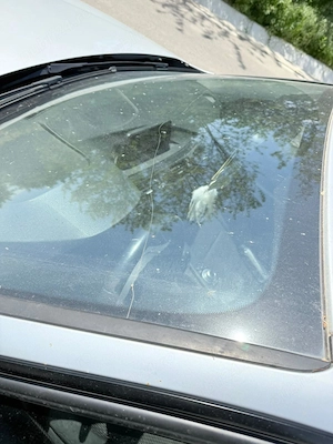 Vand BMW F31 318D - imagine 5