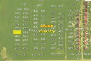 Parcela Intravilan | 650 MP | Covaci | Comision 0 - imagine 4