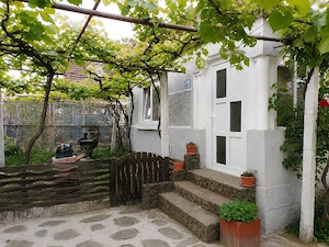 Casa de vânzare 