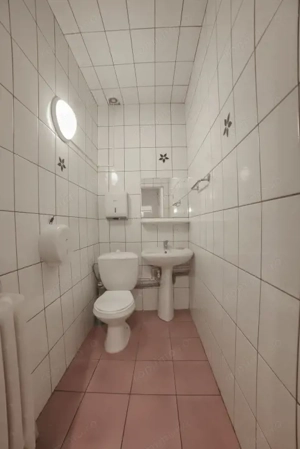 Spatiu comercial/Spatiu birouri*Ion Mortun*Vitan - imagine 13