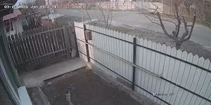 Vand casa Ianca sau schimb cu un apartament in braila 