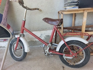 Bicicleta Pegas