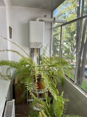 Apartament cu 3 camere, de vanzare, zona Sagului, Timisoara - imagine 9