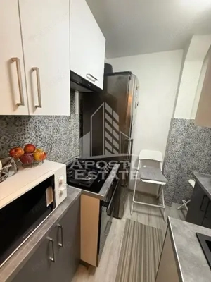 Apartament cu 2 camere, de vanzare,zona Buziasului, Timisoara - imagine 7