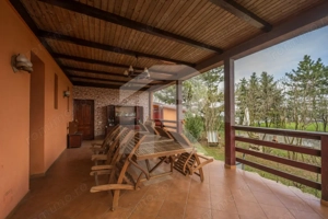 ADUNATII-COPACENI - APARTAMENT 135 MP, LOT 787 MP! - imagine 12