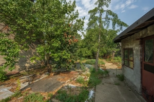 CHIAJNA - CASA RENOVABILA 129 MP, LOT 690 MP! - imagine 18