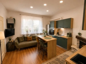 Apartament la casa de vanzare 2 camere - curte comuna cu 3 vecini - imagine 6