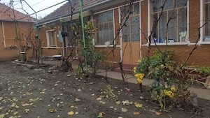 Vand casa cu 3 camere in comuna Fibis judetul Timis  - imagine 5