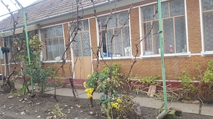 Vand casa cu 3 camere in comuna Fibis judetul Timis  - imagine 4