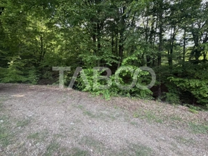 Teren intravilan 1000 mp front stradal 40 m langa Partia de Ski Dragus - imagine 4