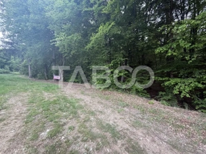 Teren intravilan 1000 mp front stradal 40 m langa Partia de Ski Dragus - imagine 3