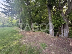 Teren intravilan 1000 mp front stradal 40 m langa Partia de Ski Dragus - imagine 2