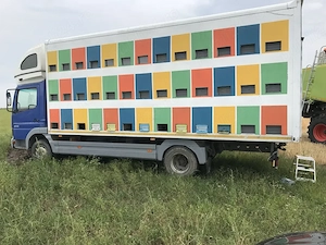 Camion omologat apicol - imagine 3