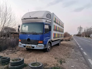 Camion omologat apicol