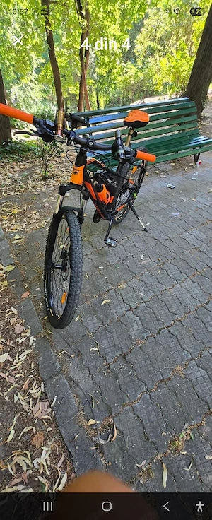 bicicleta  Mtb 29 dprint