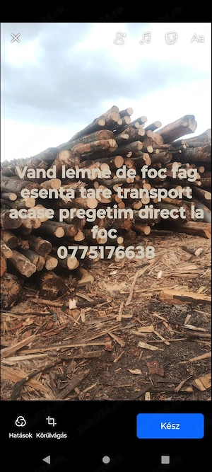 lemne de foc fag 