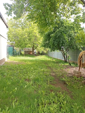 Casa și teren Campina - imagine 3