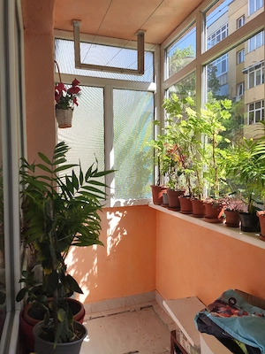 Apartament 2 camere Brazdă ,la parter cu balcon - imagine 10