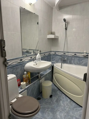 De Inchiriat Apartament 2 camere Decebal, Pet Friendly - imagine 6