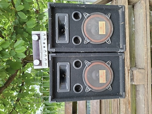 Vând boxe pasive 200w RMS Malone + stație Skytronic   300 lei