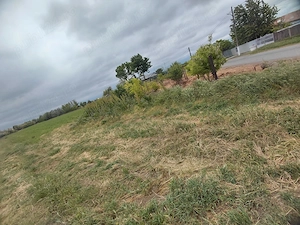     Teren intravilan 4.000 mp de vânzare   Tudor Vladimirescu, Galați | 7 Euro mp - imagine 4